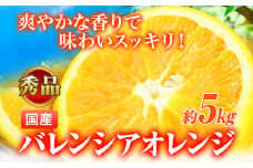 【先行予約】【秀品】希少な国産バレンシアオレンジ 5kg 株式会社 魚鶴商店《2026年6月下旬-7月上旬頃出荷》和歌山県 日高町 オレンジ 柑橘 フルーツ 果物