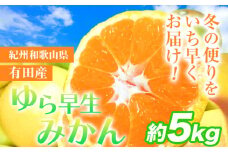 みかん 先行予約 紀州和歌山有田産 ゆら早生みかん 約5kg 株式会社魚鶴商店《2025年10月上旬-11月上旬頃出荷》 和歌山県 日高町 みかん 早生 柑橘