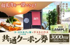 由良湾を一望できる ゲストハウス コーストカフェ楽 共通クーポン券 3000円分 Coast Cafe 楽 《90日以内に出荷予定(土日祝除く)》和歌山県 日高町 観光 クーポン お食事 カフェ 宿泊