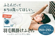 洗える 羽毛肌掛けふとん ハンガリーホワイトダウン90% 1枚（150×210cm） 株式会社ダイワセンイ 《60日以内に出荷予定(土日祝除く)》 和歌山県 日高町 ふとん 羽毛布団 布団