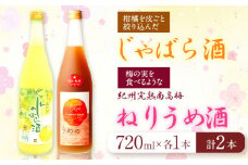 紀州完熟南高梅 ねりうめ酒 じゃばら酒 飲み比べセット 720ml×2本 厳選館 《90日以内に出荷予定(土日祝除く)》 和歌山県 日高町 酒 飲み比べ 1440ml
