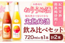 紀州完熟南高梅 ねりうめ酒 完熟梅酒 飲み比べセット 720ml×2本 厳選館 《90日以内に出荷予定(土日祝除く)》 和歌山県 日高町 酒 さけ お酒 飲み比べ 梅酒 1440ml