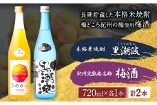 本格米焼酎 黒潮波 （くろしおなみ） と 紀州完熟南高梅 梅酒 720ml×各1本 2本セット 厳選館《90日以内に出荷予定(土日祝除く)》 和歌山県 日高町 酒 梅酒 焼酎 米焼酎 果実酒