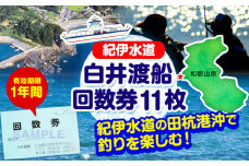 白井渡船回数券 利用券11枚組 白井渡船《30日以内に出荷予定(土日祝除く)》和歌山県 日高町 紀伊水道 田杭港沖 回数券 レジャー 釣り 乗船