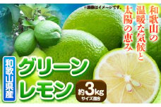 【産直】和歌山県産グリーンレモン 約3kg (サイズ混合) 厳選館《10下旬-10末頃出荷》和歌山県 日高町 グリーンレモン レモン 柑橘 果物 フルーツ 和歌山県産