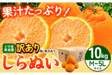 訳あり 不知火 ( デコポンと同品種 ) しらぬい 約10kg (M～5Lサイズ) どの坂果樹園《2026年2月上旬-4月上旬頃出荷》 和歌山県 日高町 しらぬい でこぽん 旬 果物 フルーツ 柑橘 訳あり不知火 訳ありデコポン 訳ありしらぬい 送料無料