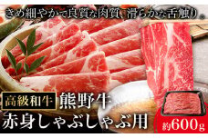 和歌山産 高級和牛 熊野牛 赤身しゃぶしゃぶ用 約600g エバグリーン《30日以内に出荷予定(土日祝除く)》 和歌山県 日高町 牛 うし 牛肉 熊野牛 和牛 高級