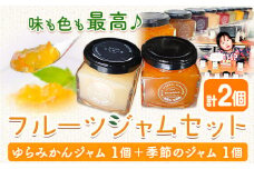 フルーツジャム セット 2個  Farm＆lab 《30日以内に発送予定(土日祝除く)》和歌山県 日高町 みかん ジャム フルーツ セット みかんジャム 桃ジャム いちごジャム ブルーベリージャム ブドウジャム りんごジャム