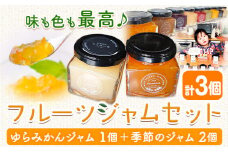 フルーツジャム セット 3個  Farm＆lab 《30日以内に発送予定(土日祝除く)》和歌山県 日高町 みかん ジャム フルーツ セット みかんジャム 桃ジャム いちごジャム ブルーベリージャム ブドウジャム りんごジャム