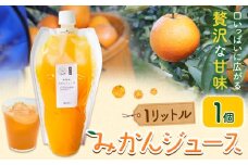 みかんジュース 1L×1個 Farm＆lab 《30日以内に発送予定(土日祝除く)》和歌山県 日高町 みかん 柑橘 果物 ジュース オレンジジュース