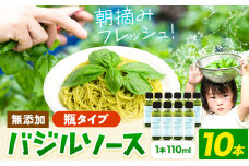 バジルソース 無添加 バジル 瓶 10本 (1本110ml) Farm＆lab《30日以内に出荷予定(土日祝除く)》和歌山県 日高町 送料無料 朝摘み バジル ソース 新鮮 フレッシュ 調味料