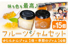 フルーツジャム セット 15個  Farm＆lab 《30日以内に発送予定(土日祝除く)》和歌山県 日高町 みかん ジャム フルーツ セット みかんジャム 桃ジャム いちごジャム ブルーベリージャム ブドウジャム りんごジャム