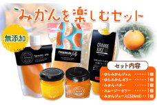 みかんを楽しむセット 各1個 ジャム バター ゼリー(2個入り) スムージー ジュース(324ml) Farm＆lab 《30日以内に出荷予定(土日祝除く)》和歌山県 日高町 みかん 柑橘 果物 無添加 おやつ デザート セット 詰め合わせ