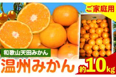 濃厚温州みかん ご家庭用 約10kg 和歌山天田みかん 北村農園 《11月下旬-1月中旬頃より出荷予定》和歌山県 日高町 送料無料 みかん 蜜柑 柑橘 果物 