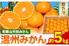 濃厚温州みかん 贈答用 約5kg 和歌山天田みかん 北村農園 《11月下旬-1月中旬頃出荷》和歌山県 日高町 送料無料 みかん 蜜柑 柑橘 果物 