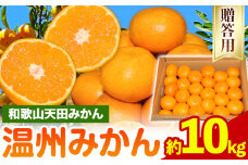 濃厚温州みかん 贈答用 約10kg 和歌山天田みかん 北村農園 《11月下旬-1月中旬頃出荷》和歌山県 日高町 送料無料 みかん 蜜柑 柑橘 果物 