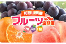 人気フルーツ全3回（7月・9月・11月）定期便 厳選館《7月上旬-11月末頃出荷》和歌山県 日高町 果物 フルーツ 和歌山の 桃 モモ もも ぶどう ブドウ 種なし ピオーネ 有田みかん 有田 みかん ミカン 蜜柑 柑橘 送料無料【配送不可地域あり】
