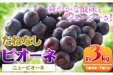 【先行予約】【新鮮・産直】和歌山県産たねなし ピオーネ 約3kg（4房～7房） 厳選館 《2025年8月下旬-10月中旬頃出荷予定》 和歌山県 日高町 フルーツ ぶどう ピオーネ たねなし 和歌山県産 送料無料【配送不可地域あり】