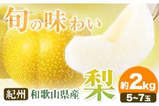 【先行予約】紀州和歌山県産の梨 約2kg 5～7玉 化粧箱入 魚鶴《8月中旬-9月上旬頃出荷(土日祝除く)》和歌山県 日高町 和歌山県産 梨 なし ナシ 贈り物 ギフト