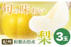 【先行予約】紀州和歌山県産の梨 3玉 化粧箱入 魚鶴《8月中旬-9月上旬頃出荷(土日祝除く)》和歌山県 日高町 和歌山県産 梨 なし ナシ 贈り物 ギフト
