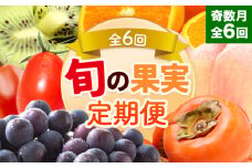 和歌山県の旬の果実を奇数月にお届け 全6回定期便 厳選館《1月上旬-11月末頃出荷》和歌山県 日高町 果物 フルーツ キウイ キウイフルーツ 清見オレンジ オレンジ アイコトマト トマト 桃 ニューピオーネ 富有柿 柿 送料無料【配送不可地域あり】
