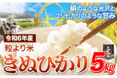 令和6年産 粒より米 きぬひかり 5kg JAわかやま さわやか日高《90日以内に出荷予定(土日祝除く)》 和歌山県 日高町 米 こめ コメ きぬひかり キヌヒカリ 送料無料 精米