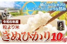 令和6年産 粒より米 きぬひかり 10kg JA紀州 さわやか日高《90日以内に出荷予定(土日祝除く)》 和歌山県 日高町 米 こめ コメ きぬひかり キヌヒカリ 送料無料 精米