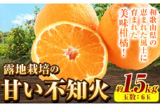 【先行予約】不知火 露地栽培の甘い 不知火 (デコ) 6玉 約1.5kg きよ農園《2026年2月末-3月末頃出荷(土日祝除く)》和歌山県 日高町 柑橘 不知火 しらぬい デコポン と同品種 フルーツ 果物 スイーツ 送料無料