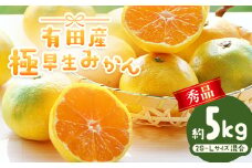 【先行予約】【秀品】有田産 極 早生 みかん 約5kg (2S～Lサイズ混合) 厳選館 《2025年10月上旬-12月中旬頃出荷》 和歌山県 日高町 みかん 柑橘 ミカン 蜜柑 フルーツ 和歌山県産 極早生