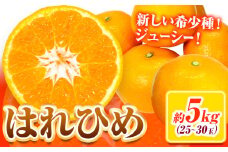 【先行予約】みかん はれひめ 約 5kg 25玉 ～ 30玉 道の駅 くしがきの里《2025年12月中旬-2月上旬頃出荷》 和歌山県 日高町 果物 フルーツ 柑橘 蜜柑 柑橘類 旬