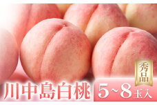 ＜先行予約＞和歌山県産 川中島白桃 5～8玉入り 秀品 株式会社松源《2025年7月下旬-8月下旬より発送予定》和歌山県 日高町 果物 フルーツ 桃 もも 送料無料