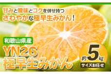 YN26極早生みかん 約5kg (2S～Mサイズおまかせ) 厳選館 《9月中旬-11月中旬頃出荷》 和歌山県 日高町 みかん 柑橘 ミカン 蜜柑 フルーツ 和歌山県産 YN26 極早生