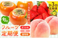 【発送月固定定期便】紀州和歌山産 旬のフルーツ便（いちご・桃・富有柿）【全３回】魚鶴《2月上旬-11月末頃出荷》 和歌山県 日高町 まりひめいちご 紀州和歌山産の桃 富有柿 化粧箱 贈答用 定期便