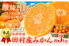 みかん 高級ブランド 秀品 紀州有田田村産みかん 3kg 株式会社魚鶴商店《12月上旬-2月中旬頃出荷(土日祝除く)》和歌山県 日高町 田村産 柑橘 フルーツ くだもの 果物