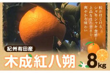 【先行予約】紀州和歌山産 木成紅八朔 8kg 株式会社魚鶴《2026年2月末-4月上旬頃出荷》和歌山県 日高町 紀州和歌山産 木成紅八朔 はっさく ハッサク 八朔 紅八朔 柑橘 果物 フルーツ
