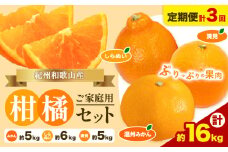 【発送月固定定期便】紀州 和歌山産 旬の ご家庭用 柑橘 セット (みかん 不知火 清見)【全３回】約16kg 株式会社魚鶴《2026年1月上旬-4月上旬頃出荷予定(土日祝除く)》 和歌山県 日高町 みかん 不知火 清見 オレンジ 柑橘 蜜柑 果物 フルーツ 訳あり ギフト 送料無料 定期便