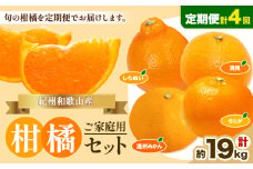 【発送月固定定期便】紀州 和歌山産 旬の ご家庭用 柑橘 セット (みかん 不知火 せとか 清見)【全4回】 計19kg 株式会社魚鶴《2026年1月上旬-5月上旬頃出荷》 和歌山県 日高町 みかん 不知火 清見 オレンジ 柑橘 蜜柑 果物 訳あり 送料無料 定期便