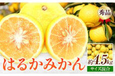 【先行予約】【さわやか柑橘】秀品 和歌山県産 はるかみかん 約4.5kg（サイズ混合） 日高町厳選館 《2026年2月中旬-4月中旬頃出荷》和歌山県 日高町 みかん はるみ 柑橘 フルーツ 果物