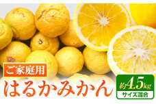 【先行予約】【さわやか柑橘】ご家庭用 和歌山県産 はるかみかん 約4.5kg（サイズ混合） 日高町厳選館 《2026年2月中旬-4月中旬頃出荷》和歌山県 日高町 みかん はるみ 柑橘 フルーツ 果物
