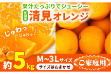 【先行予約】ご家庭用 有田産 清見 オレンジ約 5kg（M～3Lサイズおまかせ） 日高町厳選館《2026年2月中旬-3月末頃より出荷予定》和歌山県 日高町 柑橘 果物 フルーツ 清見オレンジ