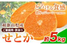 【先行予約】【家庭用 訳あり】とろける食感!ジューシー柑橘 せとか 約 5kg 魚鶴商店 先行予約《2026年2月上旬-3月中旬頃出荷》 和歌山県 日高町 みかん 柑橘 果物 フルーツ 送料無料