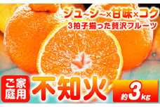 【ご家庭用】紀州有田産 不知火 ( しらぬひ ) 約3kg 魚鶴商店 先行予約《2026年2月中旬-3月中旬頃出荷》 和歌山県 日高町 不知火 柑橘 果物 フルーツ デコポンと同品種 訳あり不知火 訳ありデコポン 訳あり 送料無料