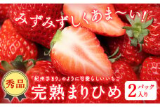 和歌山県産 秀品 完熟まりひめ1箱 (2パック入り) 株式会社松源《2026年1月下旬-3月上旬頃出荷》和歌山県 日高町 果物 フルーツ いちご イチゴ 苺 まりひめ