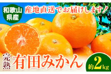 みかん 完熟有田みかん 約 2kg 有田マルシェ《11月中旬-1月上旬頃出荷》和歌山県 日高町 みかん 有田 みかん 柑橘 フルーツ 完熟 ミカン 蜜柑