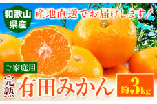 みかん ご 家庭用 完熟 有田みかん 約 3kg 有田マルシェ《10月中旬-1月上旬頃出荷》和歌山県 日高町 みかん 有田みかん 柑橘 フルーツ 完熟 訳あり みかん 蜜柑 ミカン 柑橘