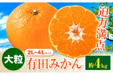 迫力満点！大粒 有田みかん 2L-4Lサイズ 約4kg 有田マルシェ《11月上旬-1月上旬頃出荷》和歌山県 日高町 みかん 大粒 有田みかん 温州みかん 柑橘 フルーツ ミカン 蜜柑