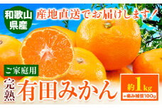 みかん ご 家庭用 完熟 有田みかん 約 1kg + 傷み補償 100g 有田マルシェ《10月中旬-1月上旬頃出荷》和歌山県 日高町 みかん 有田みかん 柑橘 フルーツ 完熟 訳あり みかん 蜜柑 ミカン 柑橘