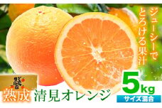 熟成 清見オレンジ 5kg(サイズ混合) どの坂果樹園《2026年3月上旬-5月中旬頃出荷》 和歌山県 日高町 清見オレンジ 旬 柑橘 フルーツ 果物 オレンジ 熟成