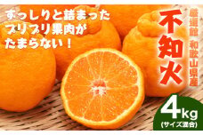 和歌山県産 不知火 約4kg(サイズ混合) 厳選館《2月中旬-4月上旬頃出荷》和歌山県 日高町 送料無料 柑橘 柑橘類 でこぽん 不知火 しらぬい デコ デコポン