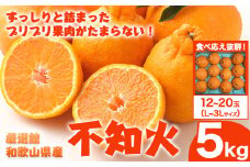 和歌山県産 不知火 約5kg L～3Lサイズ(12玉～20玉おまかせ) 日高町厳選館《2月中旬-4月上旬頃出荷》和歌山県 日高町 送料無料 柑橘 柑橘類 でこぽん 不知火 しらぬい デコ デコポン